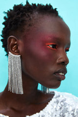 Fringed Drop Earrings